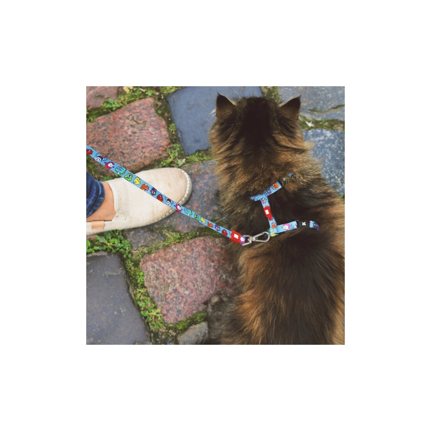 Max Molly Little Monster Cat Harness Set - нагръдник с повод за котка с обиколка на врата 21,5-33 см. и обиколка на тялото 27-44 см.