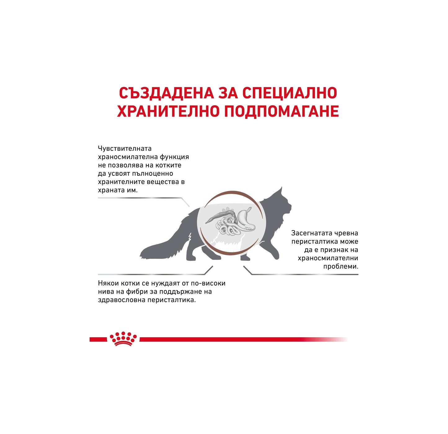 Royal Canin Gastro Intestinal Fiber Response - хапки в сос е пълноценна диетична храна за котки формулирана за компенсиране на лошото храносмилане 85 гр