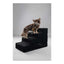 Flamingo Dog Step Tampa Black - стълба за куче 60 / 35,5 / 40,5 см