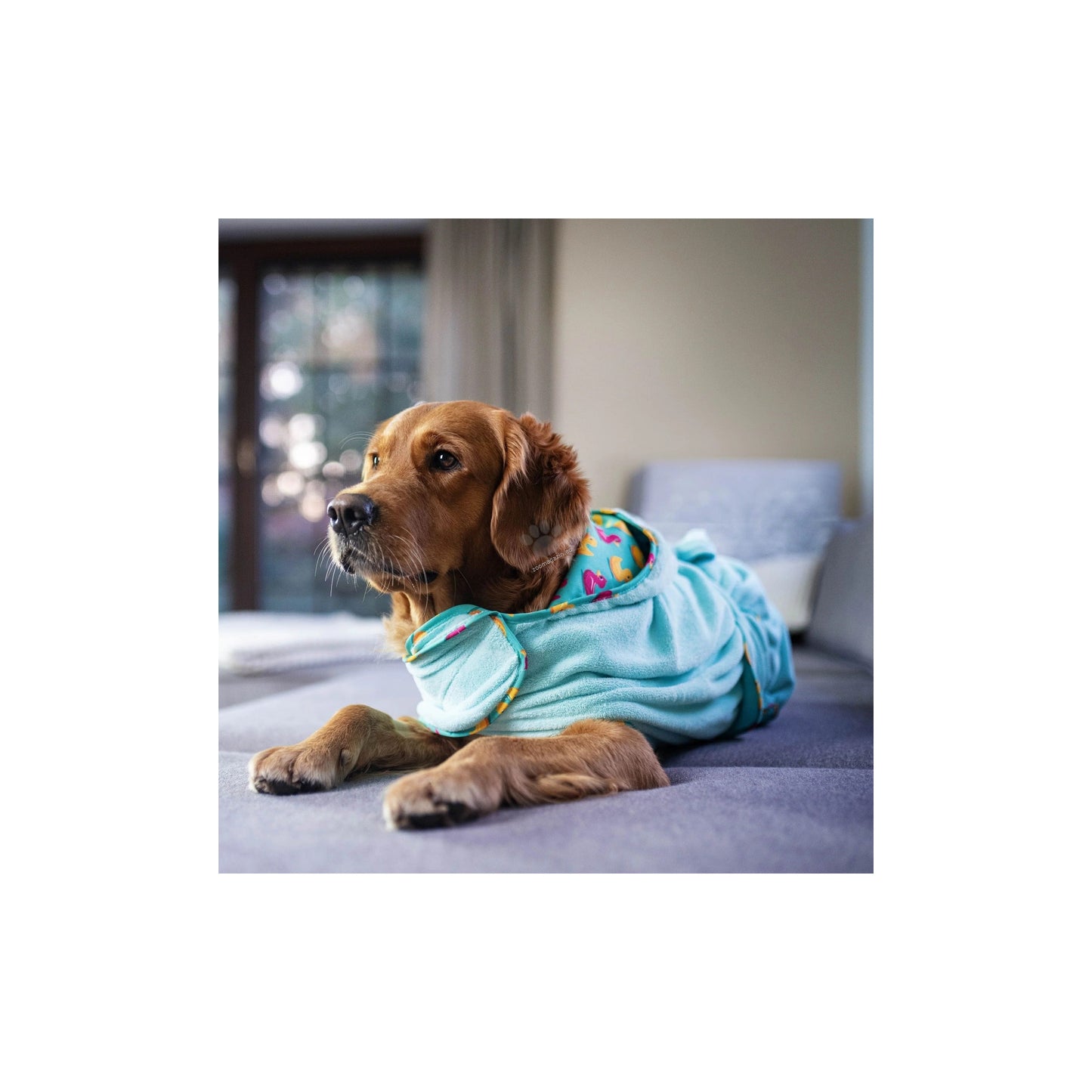 Max Molly Bath Robe Ducklings L - халат за кучета 70 см