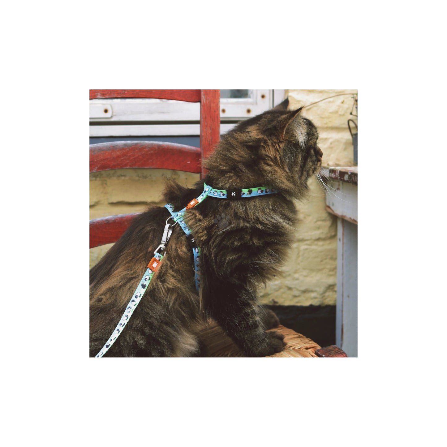 Max Molly Black Sheep Cat Harness Set - нагръдник с повод за котка с обиколка на врата 21,5-33 см. и обиколка на тялото 27-44 см.