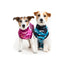 Suitical Recovery Suit Small Dog Pink - медицинска дрешка за кучета, розов
