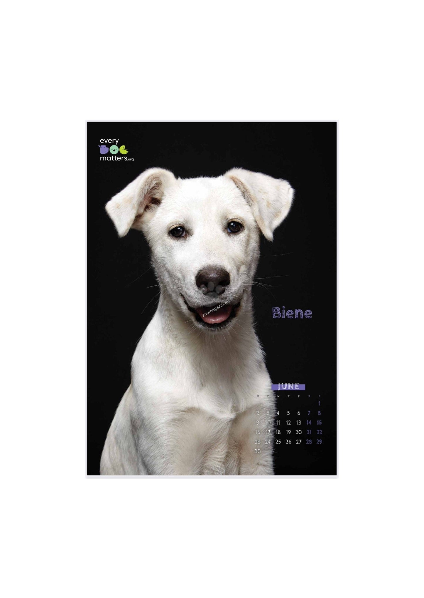 Every Dog Matters - дарителски календар за 2025 година