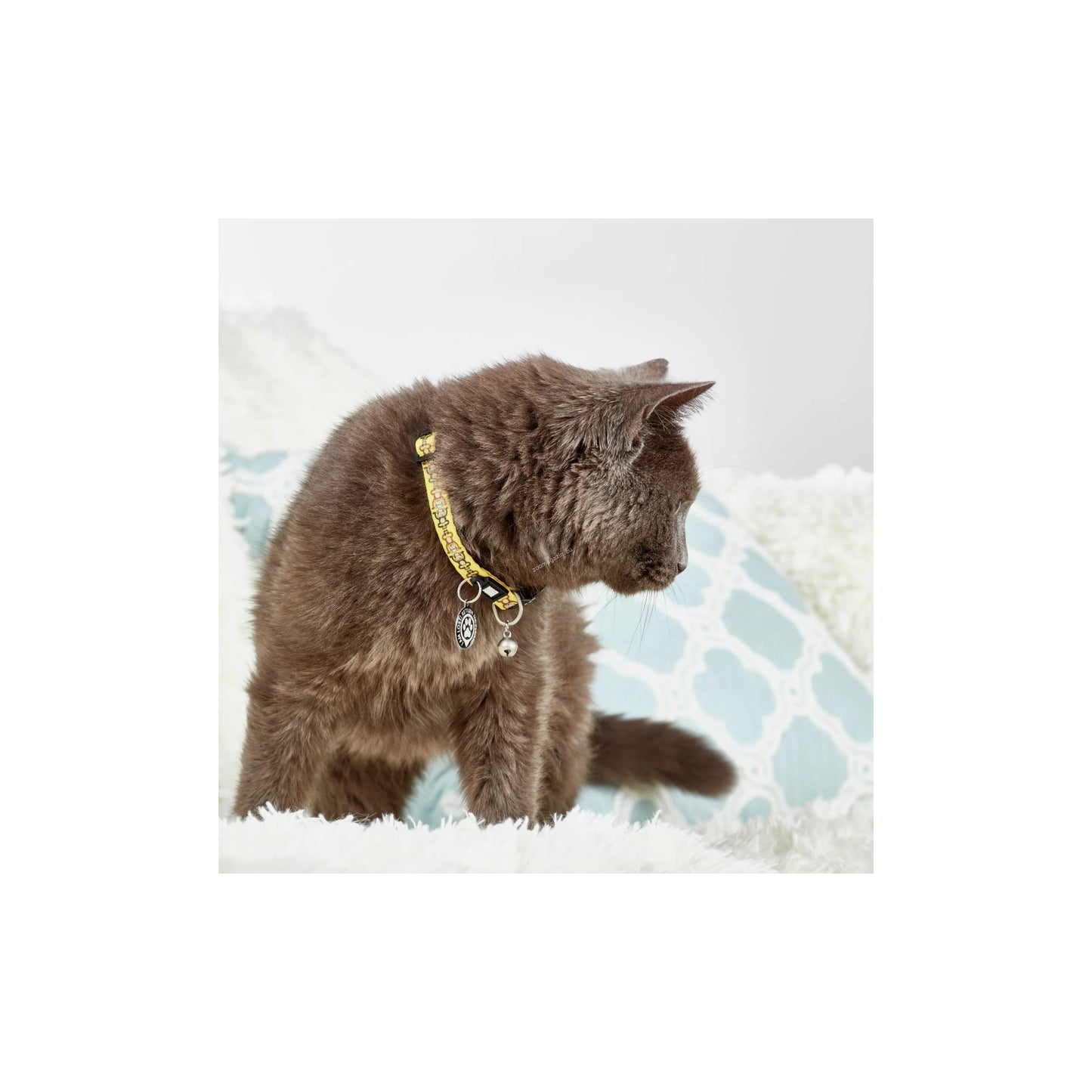 Max Molly Monkey Maniac Smart ID - нашийник с чип за сигурност