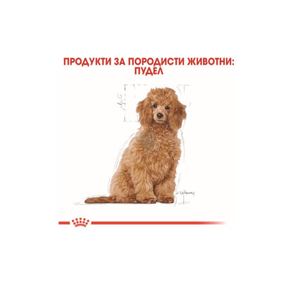 Royal Canin Poodle Puppy - пълноценна храна за подрастващи кучета порода пудел до 10 месеца 3 кг
