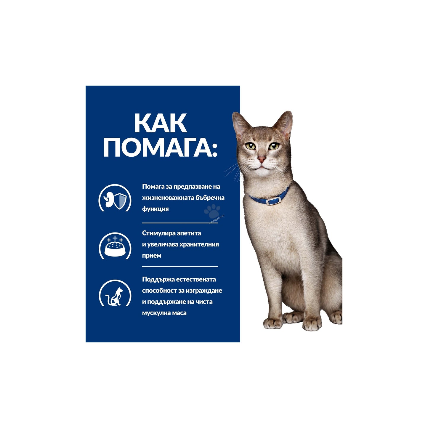 Hills Prescription Diet k/d Beef - при хорнична бъбречна недостатъчност с говеждо месо, кутия 12 x 85 гр