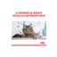 Royal Canin Hairball in Jelly - пълноценна храна за котки склони към образуване на космени топки 85 гр.