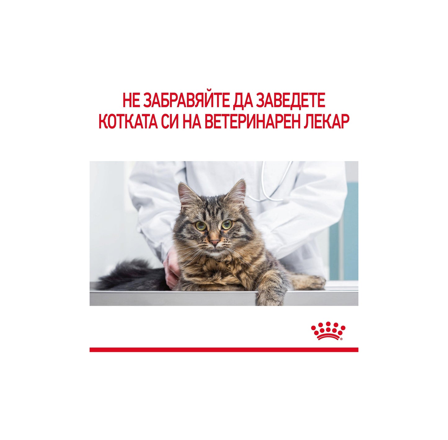 Royal Canin Hairball in Jelly - пълноценна храна за котки склони към образуване на космени топки 85 гр.