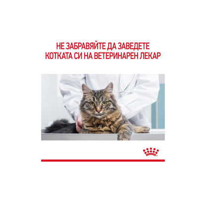 Royal Canin Hairball in Jelly - пълноценна храна за котки склони към образуване на космени топки 85 гр.