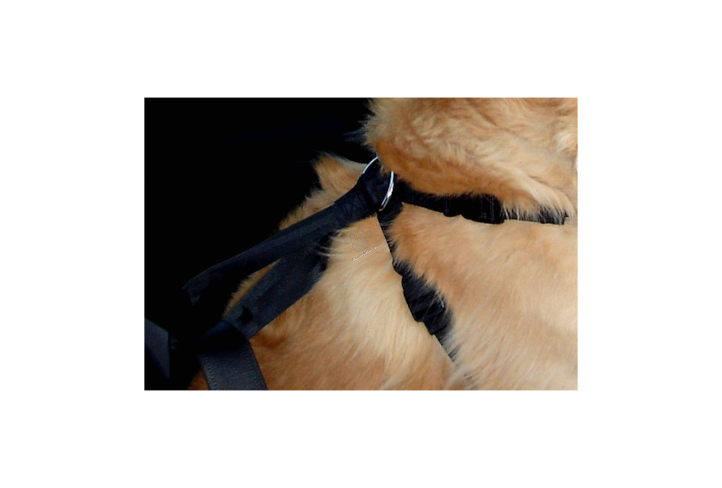 Flamingo Car safety harness Baro Black - предпазен нагръдник за кола