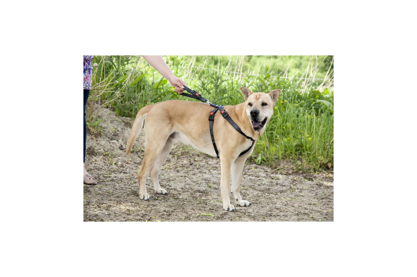 Flamingo Car safety harness Duma Black - предпазен нагръдник за автомобил