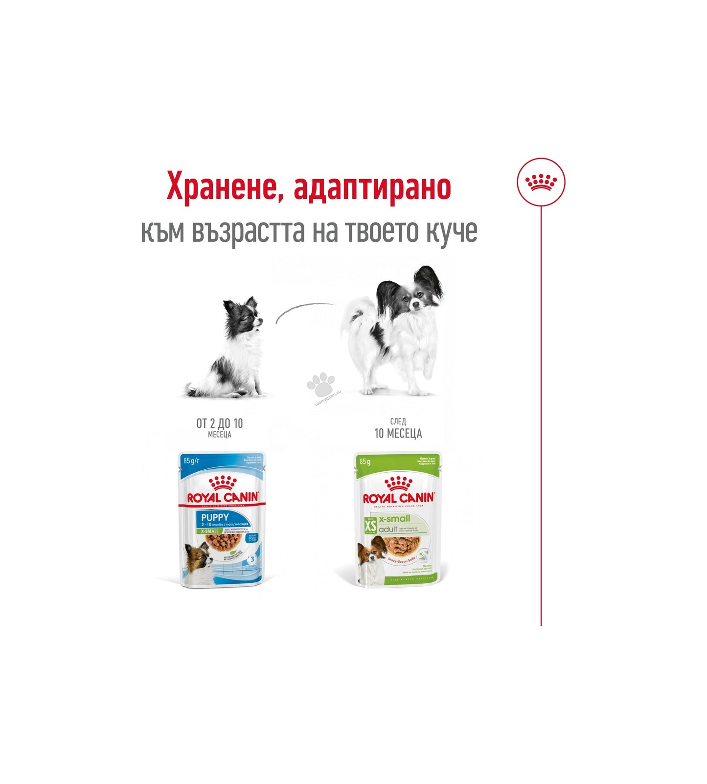 Royal Canin Adult X Small Pouch Gravy Sauce - пауч за кучета в зряла възраст от много дребни породи (тегло в зряла възраст до 4кг) от 10 месеца до 8 години 85 гр.