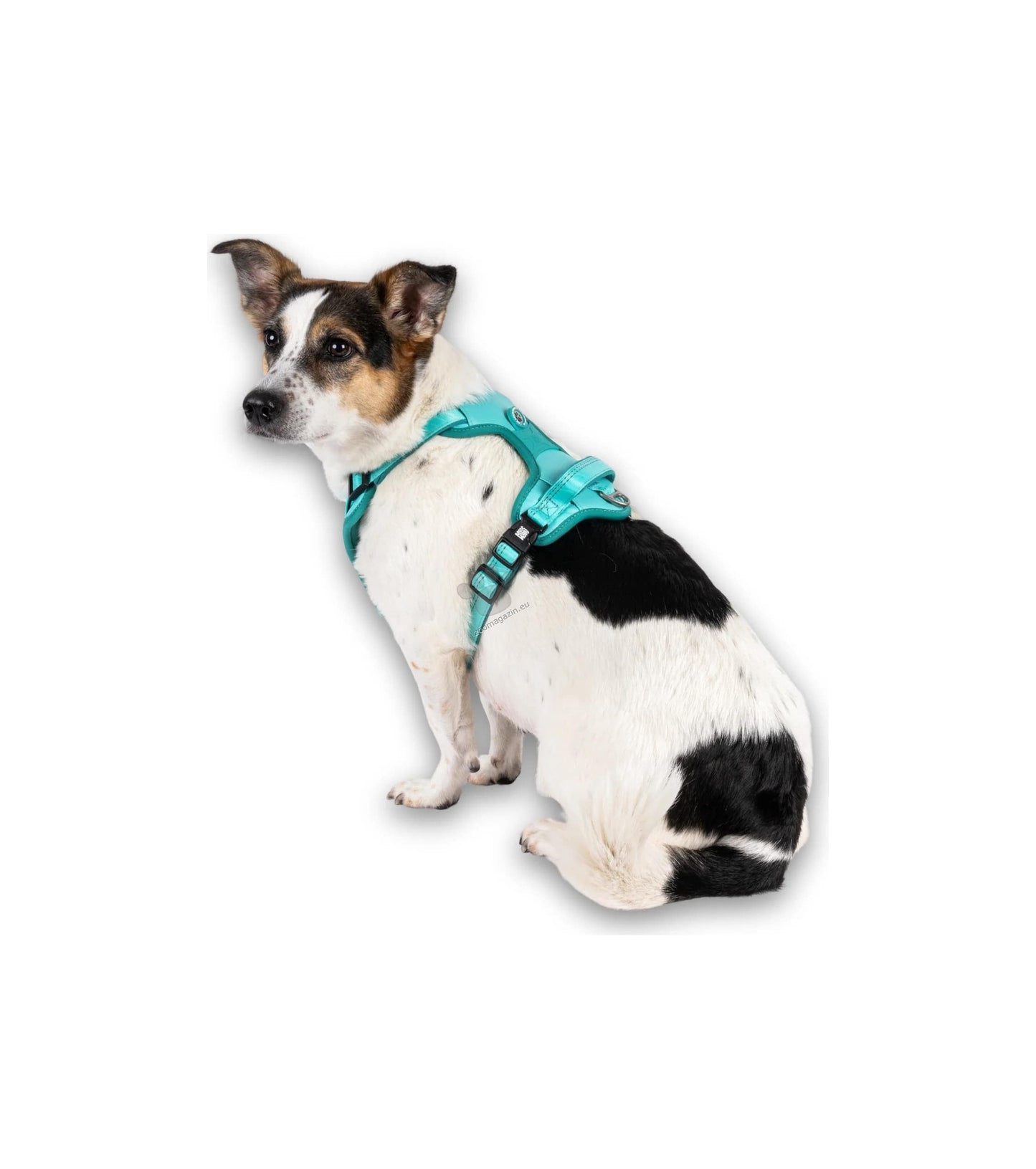 Max Molly Sport Harness Matrix Turquoise - нагръдник за кучета