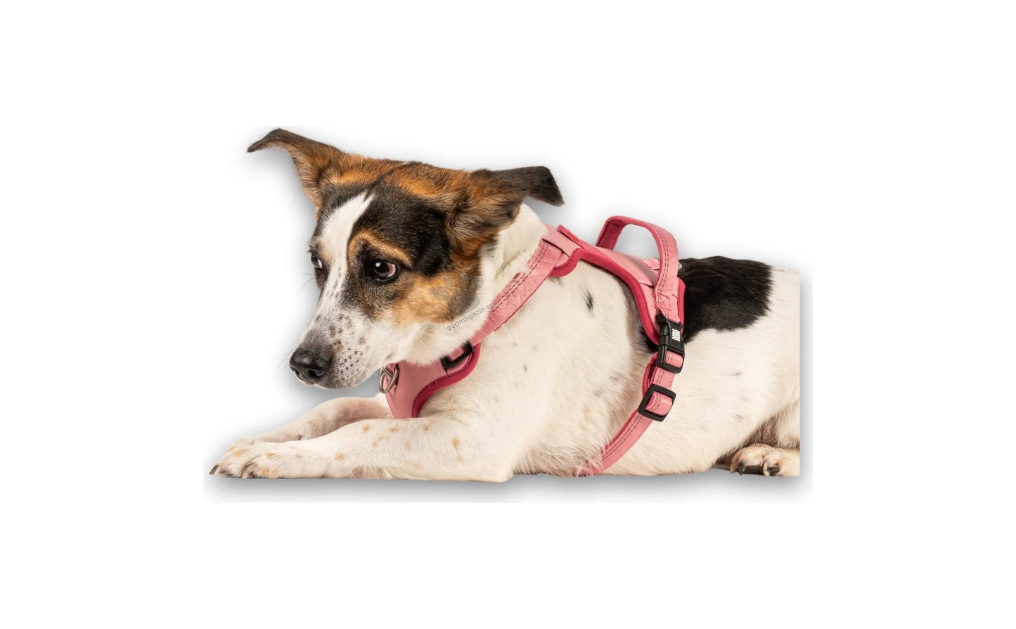 Max Molly Sport Harness Matrix Rose - нагръдник за кучета