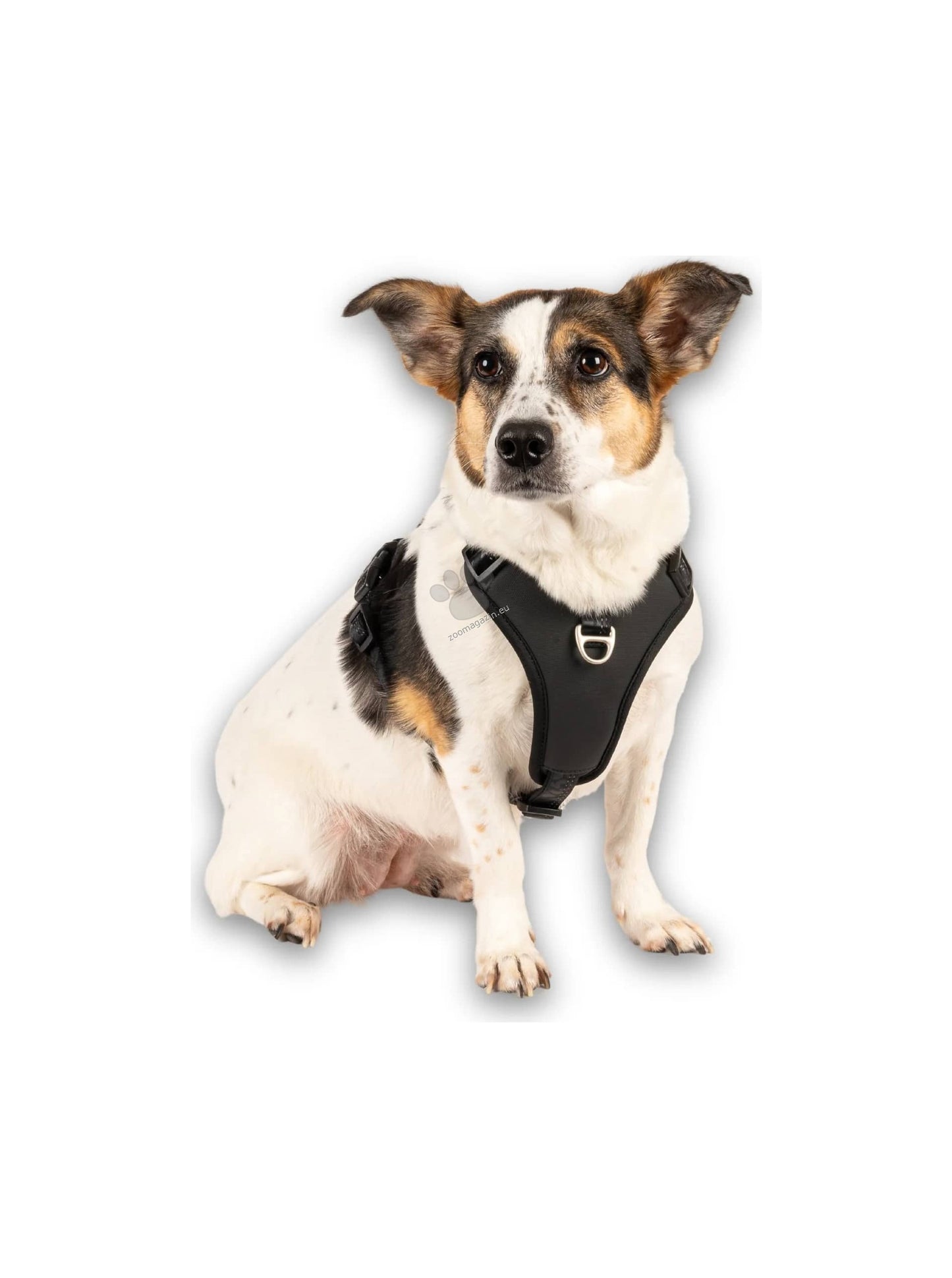 Max Molly Sport Harness Matrix Black - нагръдник за кучета
