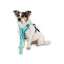 Max Molly Sport Harness Matrix Turquoise - нагръдник за кучета