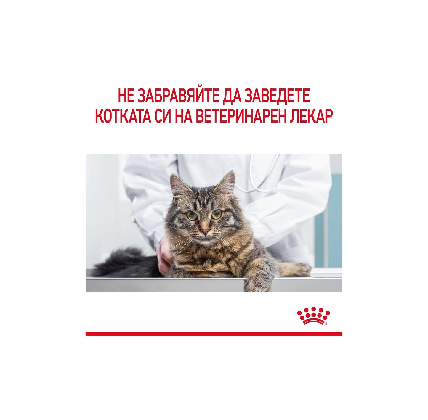 Royal Canin Urinary Care in Jelly - пълноценна храна за профилактика на пикочните пътища 85 гр.