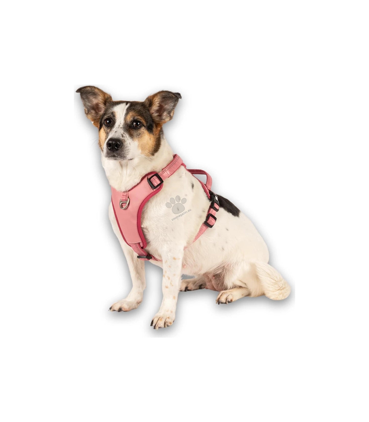 Max Molly Sport Harness Matrix Rose - нагръдник за кучета