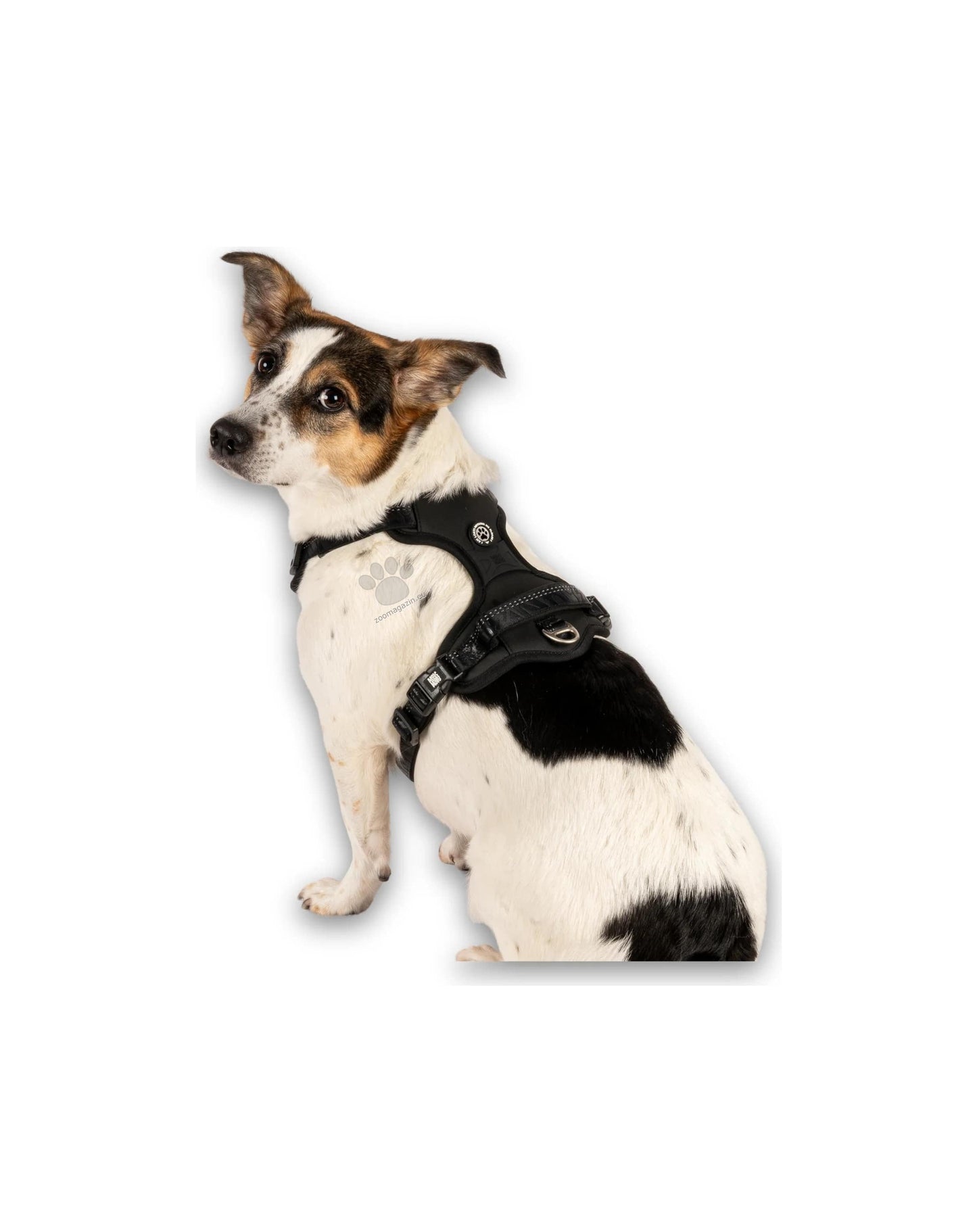 Max Molly Sport Harness Matrix Black - нагръдник за кучета