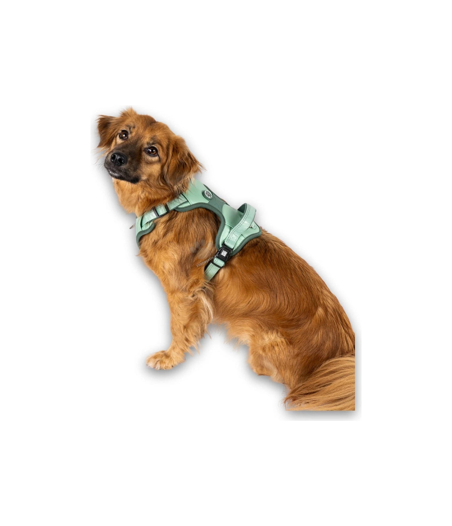 Max Molly Sport Harness Matrix Jade - нагръдник за кучета