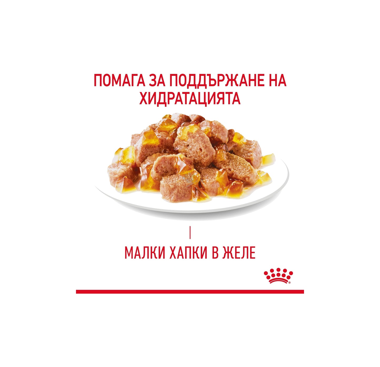 Royal Canin Hairball in Jelly - пълноценна храна за котки склони към образуване на космени топки 85 гр.