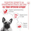 Royal Canin French Bulldog Loaf - пълноценна мокра храна за кучета порода френски булдог над 12 месеца 85 гр
