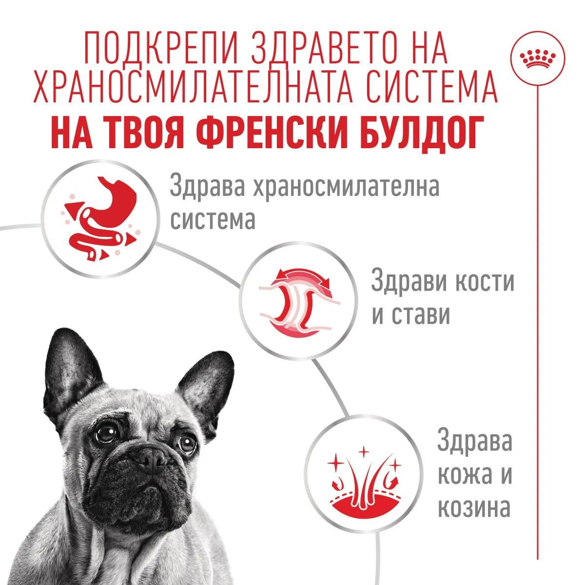 Royal Canin French Bulldog Loaf - пълноценна мокра храна за кучета порода френски булдог над 12 месеца 85 гр