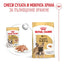 Royal Canin French Bulldog Loaf - пълноценна мокра храна за кучета порода френски булдог над 12 месеца 85 гр