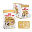 Royal Canin French Bulldog Loaf - пълноценна мокра храна за кучета порода френски булдог над 12 месеца 85 гр