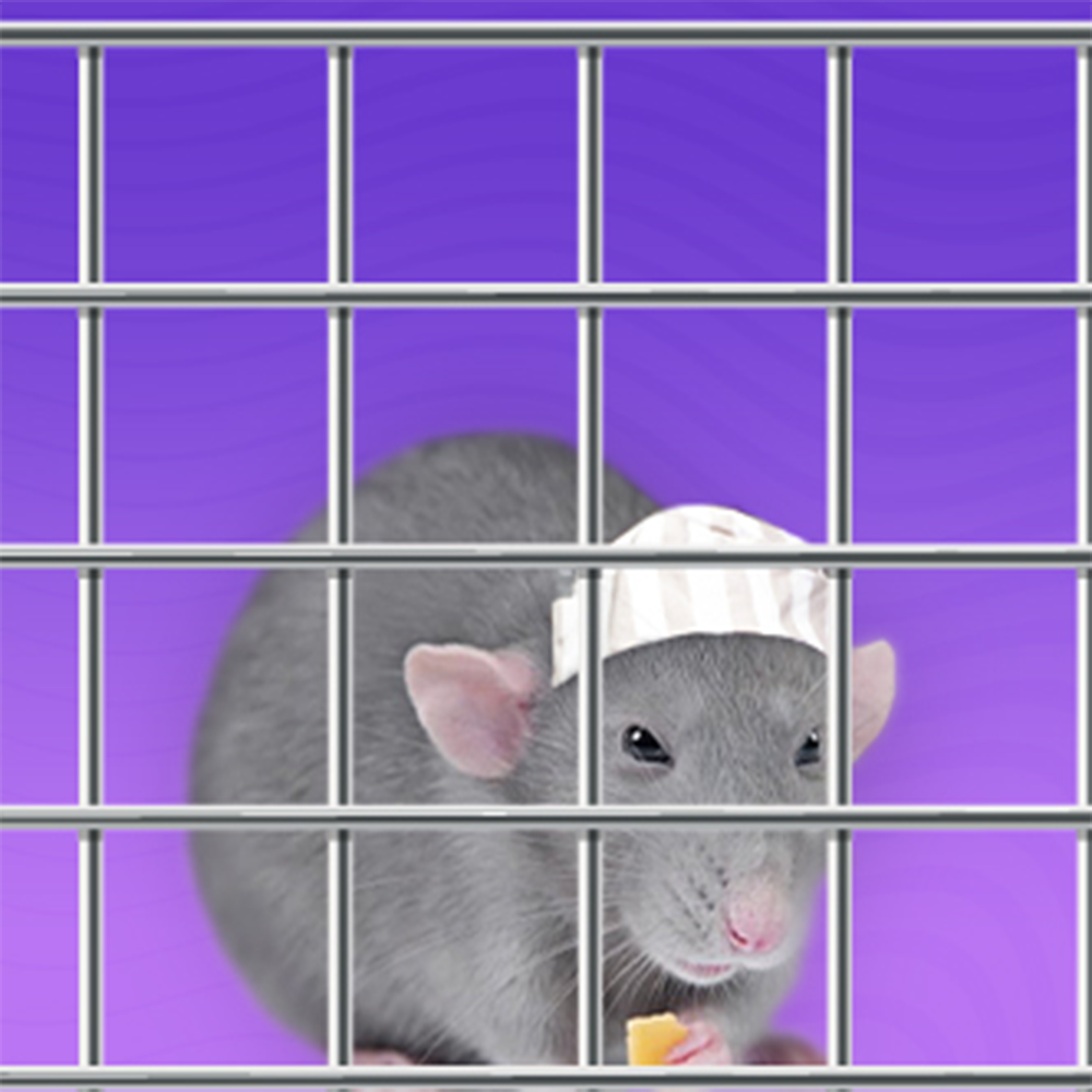 Клетки за гризачи