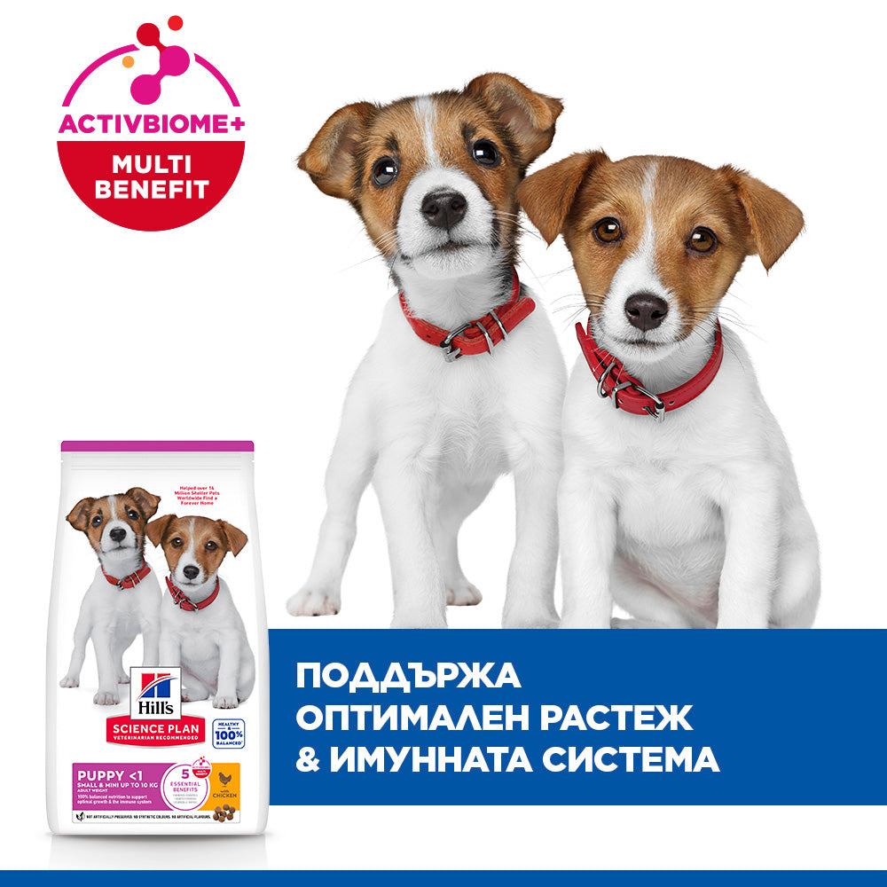 Hills Science Plan Small and Mini Puppy - пълноценна суха храна с пилешко месо, за дребни и миниатюрни породи кучета от отбиване до 1 година, за бременни и кърмещи кучета