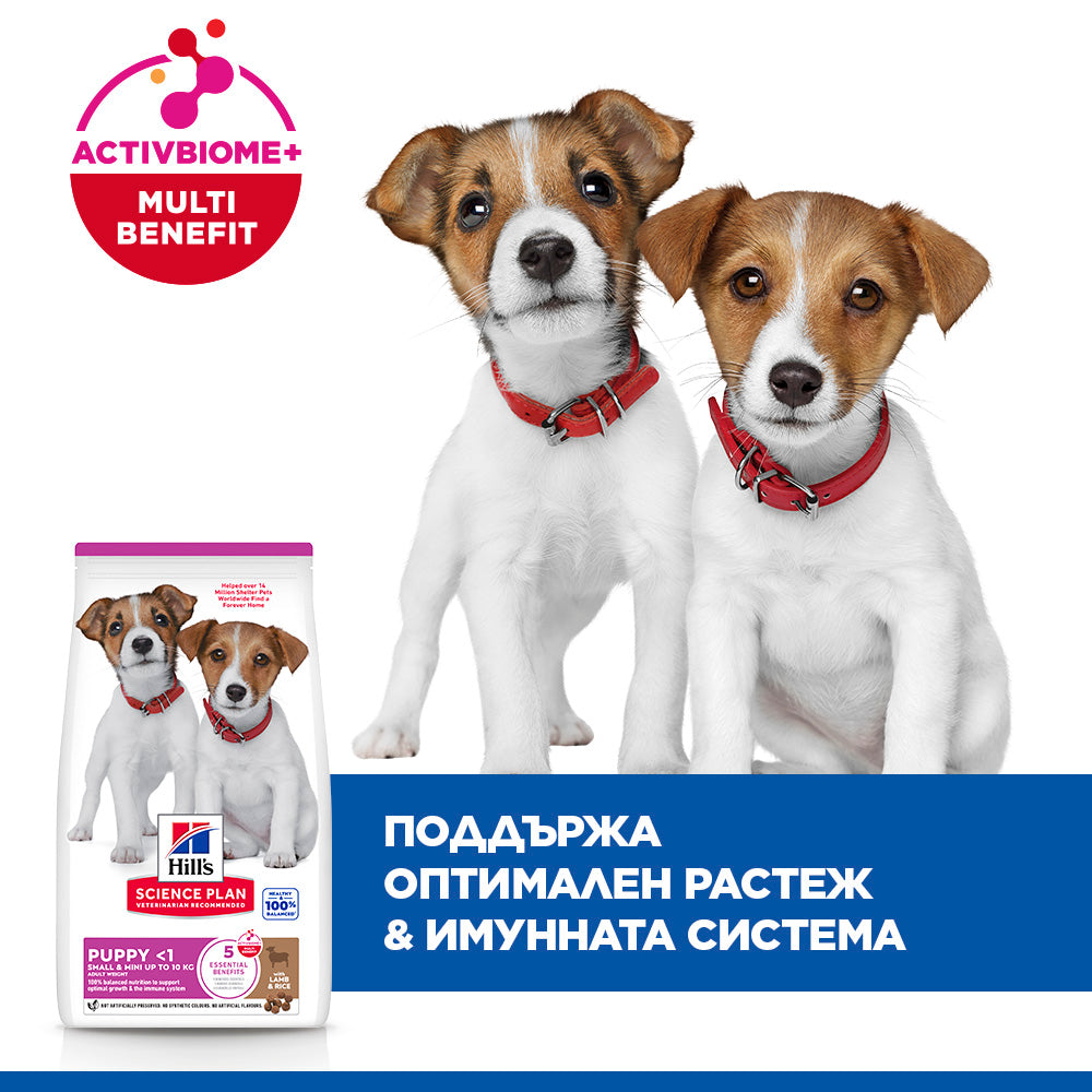 Hills Science Plan Small and Mini Puppy - суха храна за кученца от малки породи с агнешко месо 1.5 кг