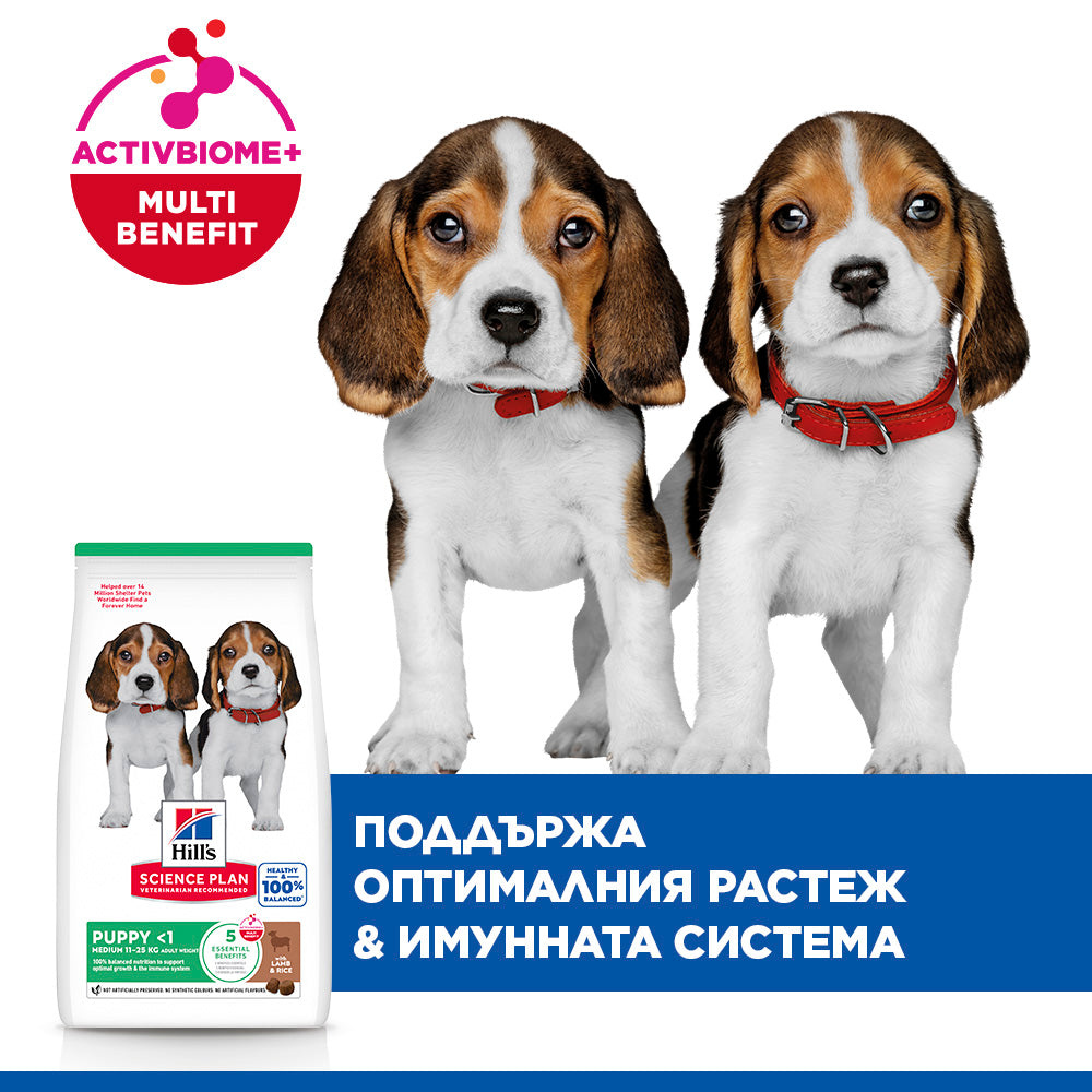 Hills Science Plan Puppy Medium - суха храна за кученца от средни породи с агнешко месо
