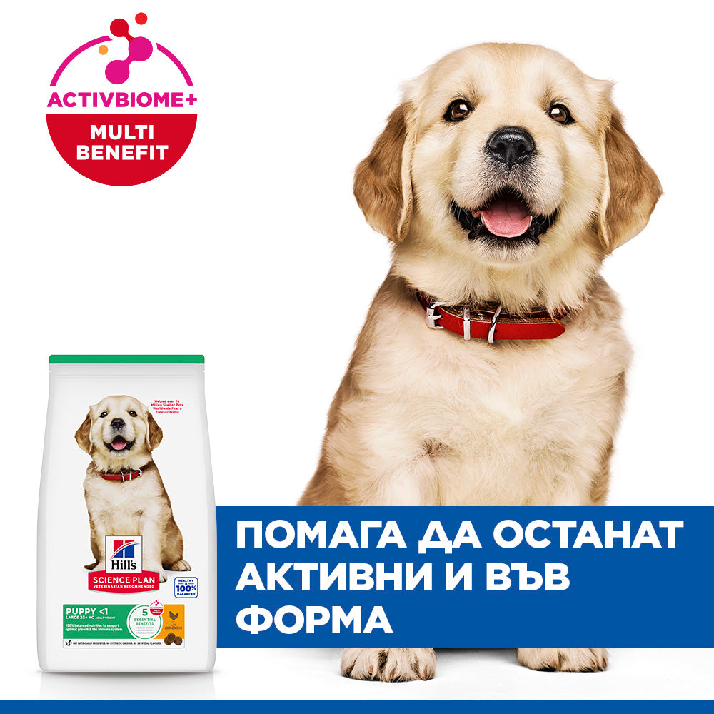 Hills Science Plan Canine Puppy Large Breed - с пилешко, за подрастващи кучета от едри и гиганстки породи, над 25кг, бременни и кърмещи кучета
