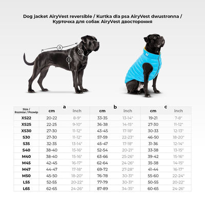 AiryVest Reversible Dog Jacket - двулицево кучешко яке, черно / синьо