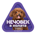 Стикер за кола - Мини пудел